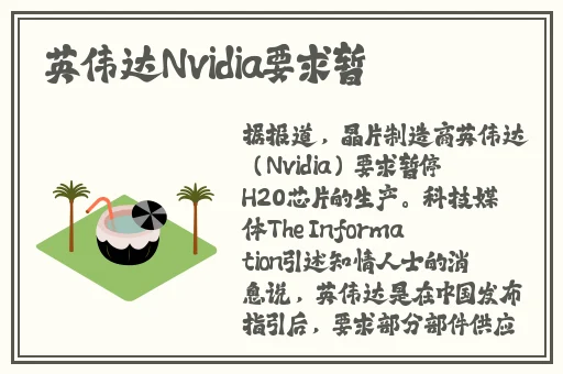 姐姐的朋友5完整视频有翻译